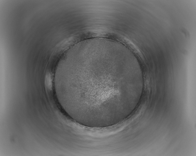 X0000110950026200906261330