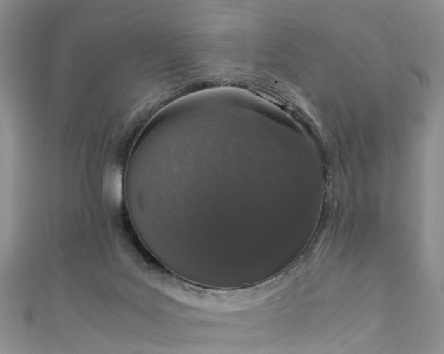 X0000110950027200906261330