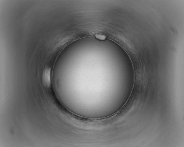 X0000110950028200906261330