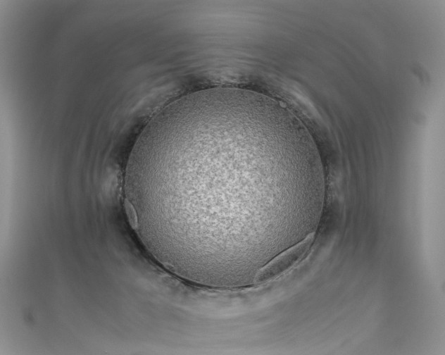 X0000110950029200906261330