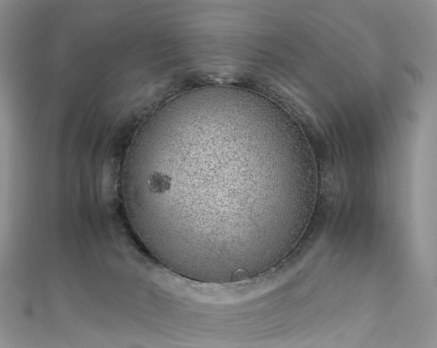 X0000110950030200906261330