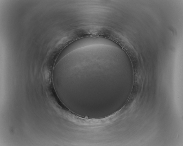 X0000110950031200906261330