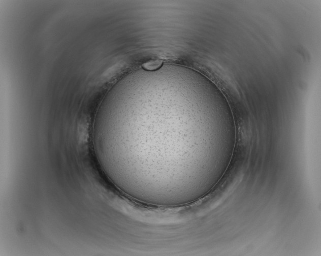 X0000110950032200906261330