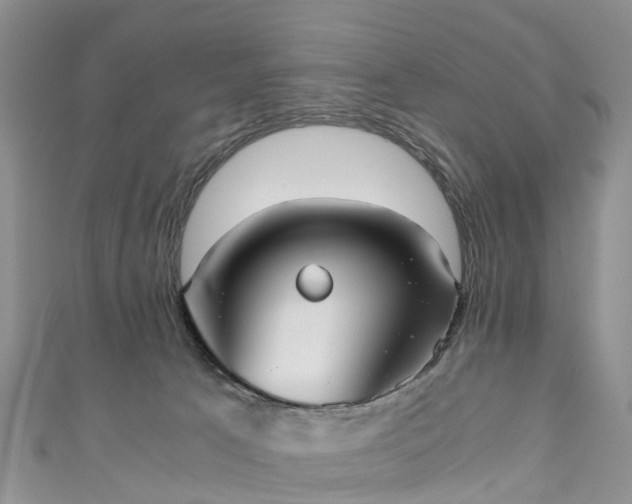 X0000110950033200906261330