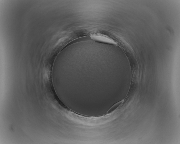 X0000110950035200906261330