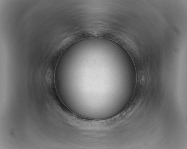 X0000110950036200906261330