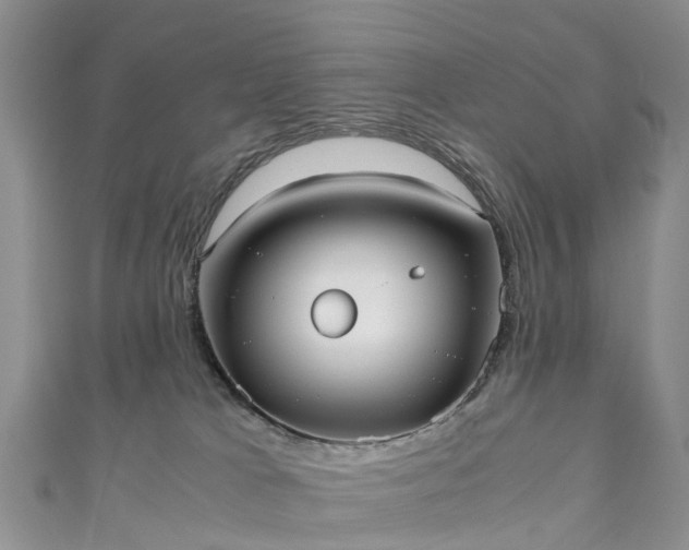 X0000110950037200906261330