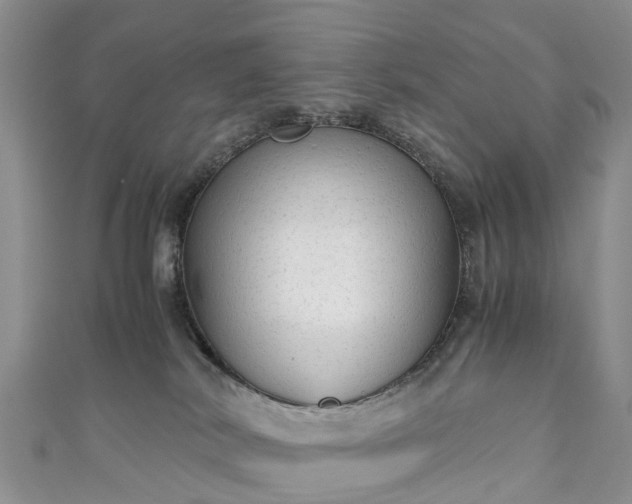 X0000110950038200906261330