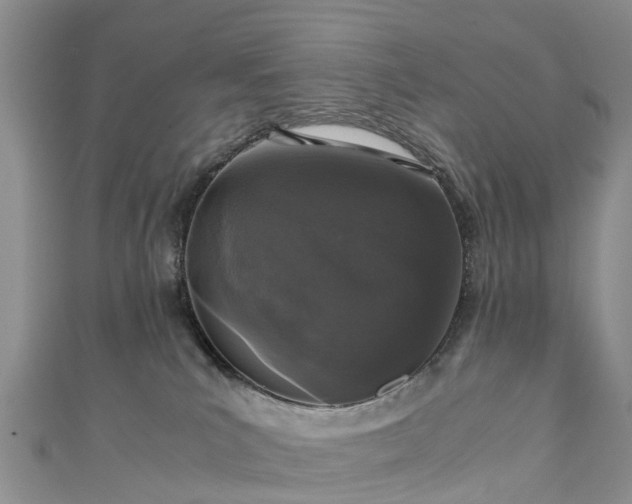 X0000110950039200906261330