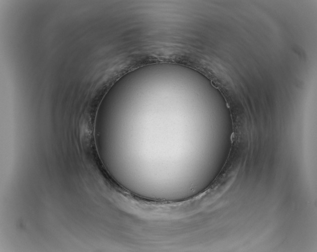 X0000110950040200906261330