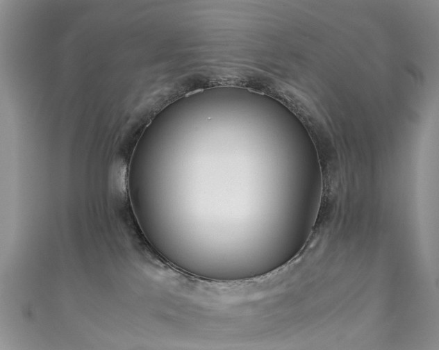 X0000110950041200906261330