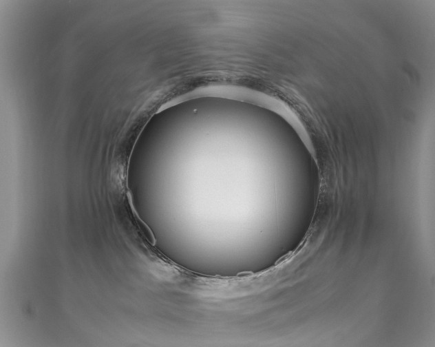 X0000110950045200906261330