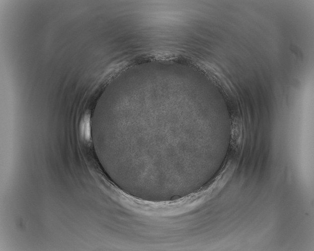 X0000110950046200906261330