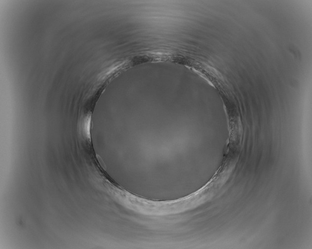 X0000110950047200906261330