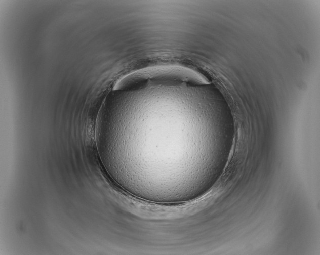 X0000110950048200906261330