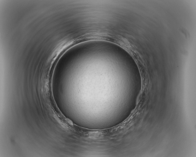 X0000110950050200906261329