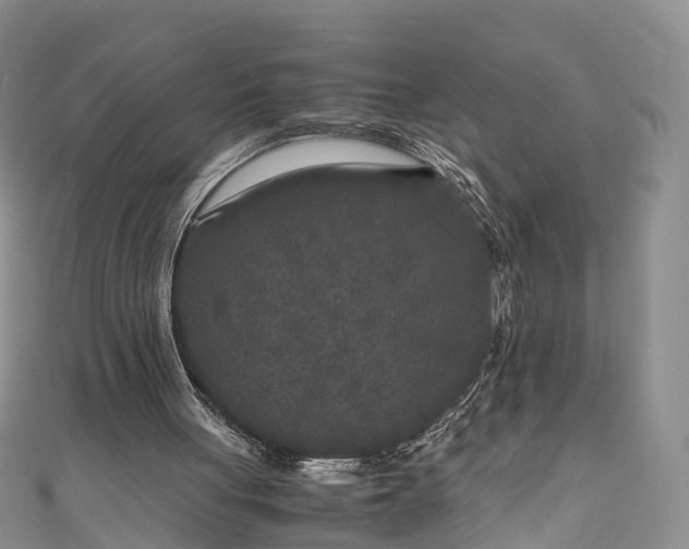 X0000110950051200906261329