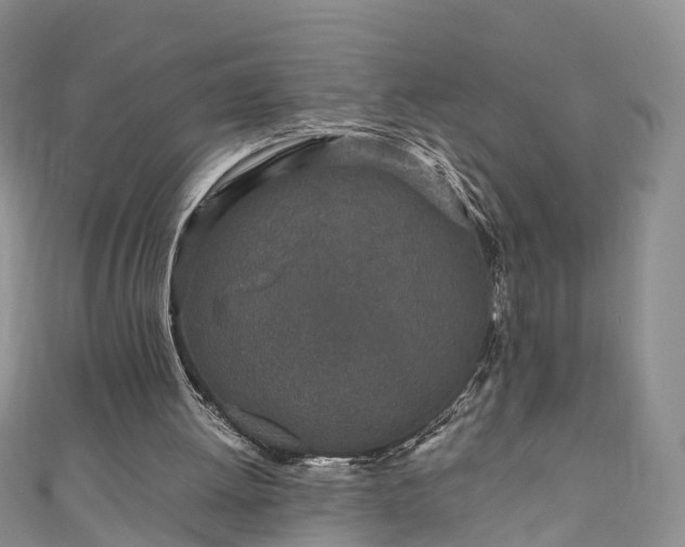 X0000110950052200906261329