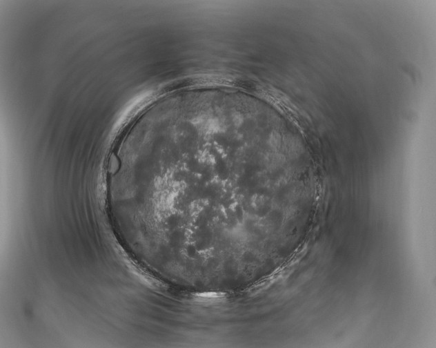 X0000110950053200906261329