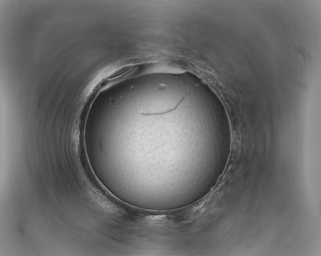 X0000110950054200906261329