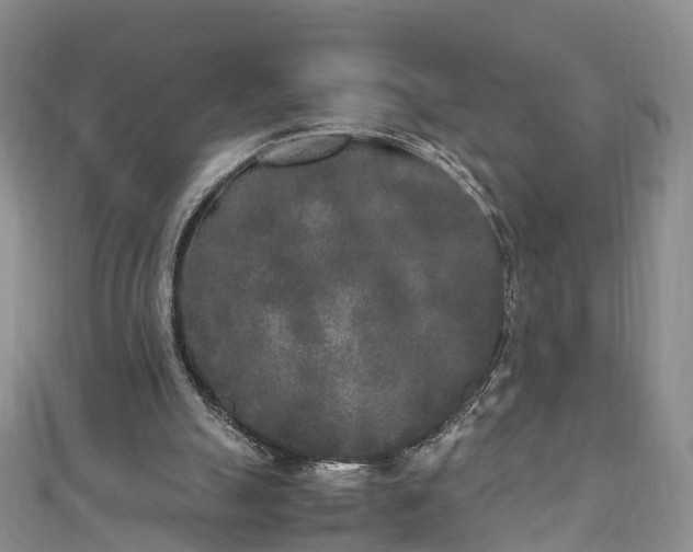 X0000110950055200906261329