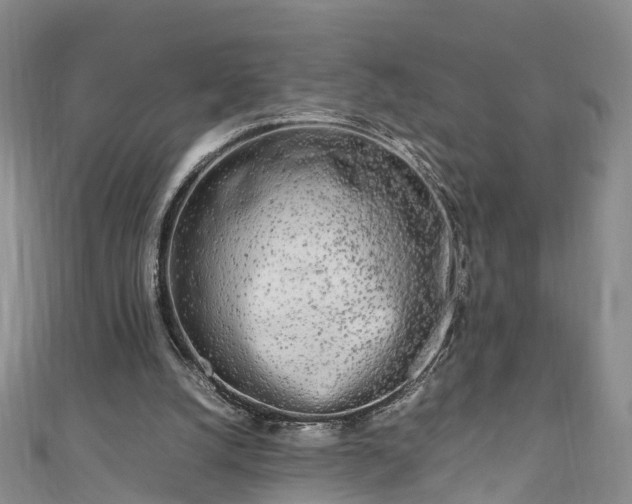 X0000110950056200906261329