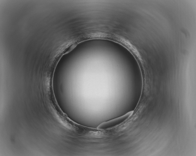 X0000110950057200906261329