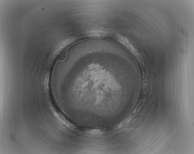 X0000110950058200906261329