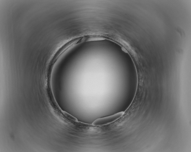 X0000110950060200906261329