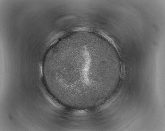 X0000110950061200906261329