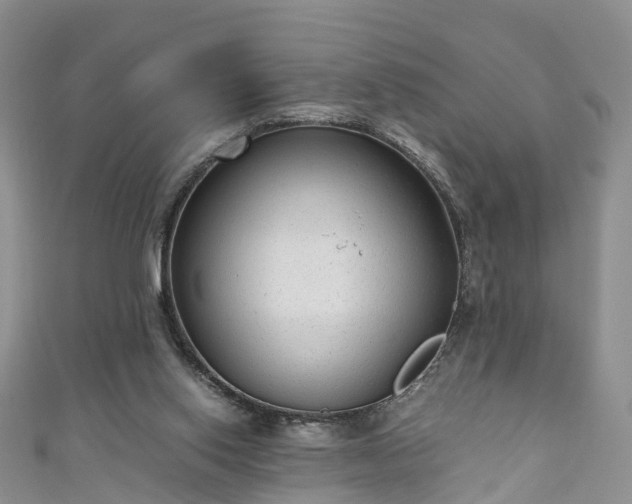 X0000110950062200906261329