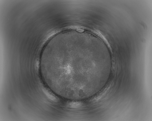 X0000110950063200906261329