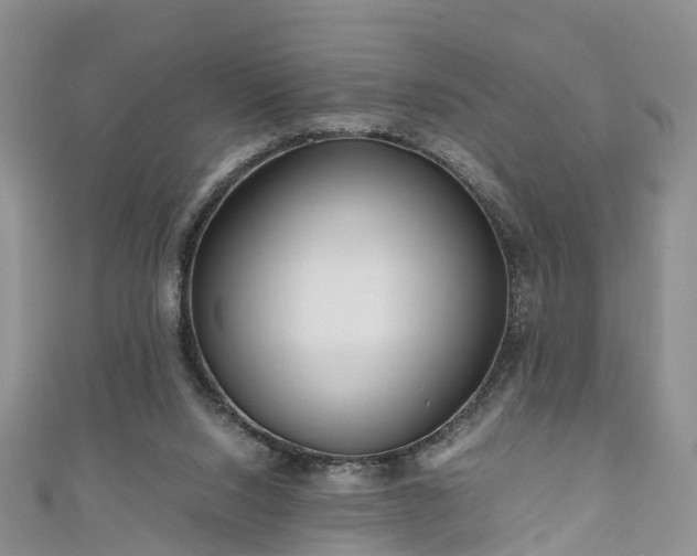 X0000110950064200906261329