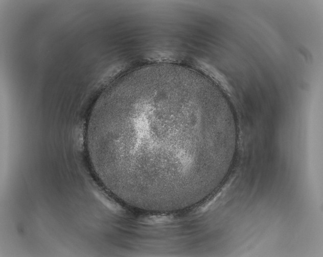 X0000110950065200906261329