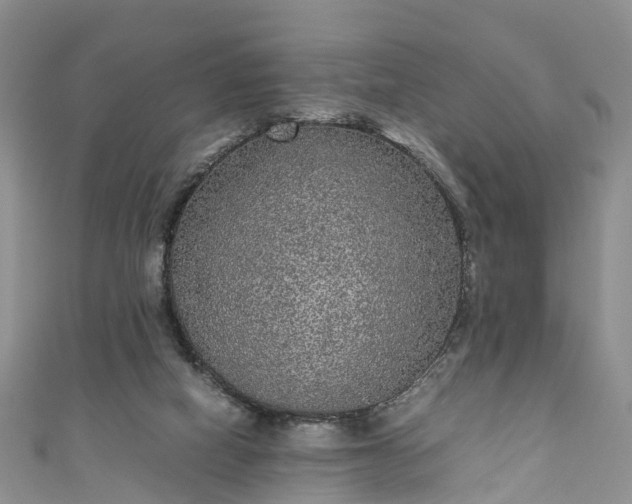 X0000110950066200906261329