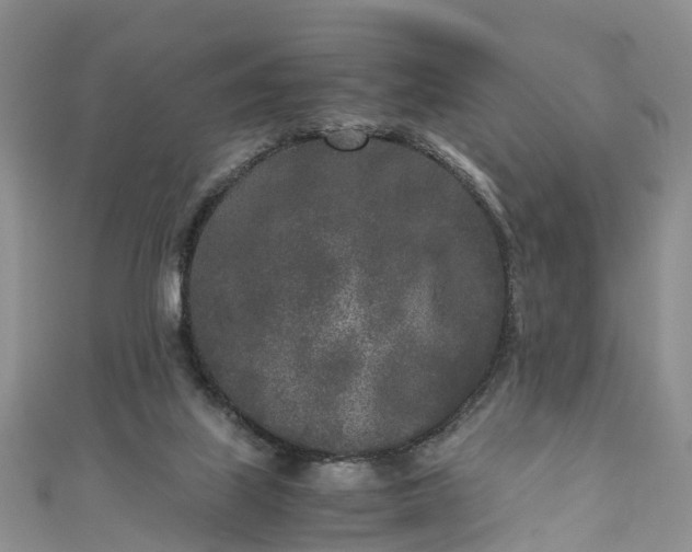 X0000110950067200906261329