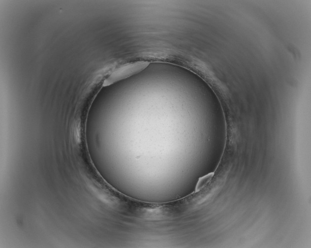 X0000110950068200906261329