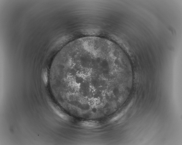 X0000110950069200906261329