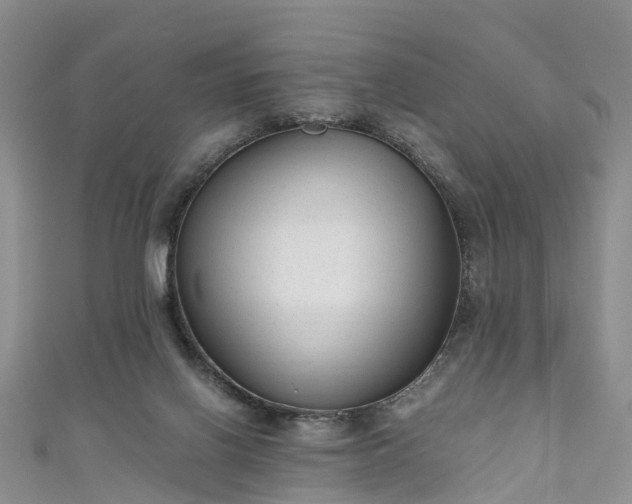 X0000110950070200906261329