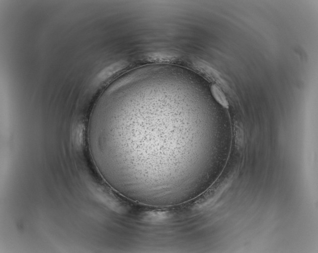 X0000110950071200906261329