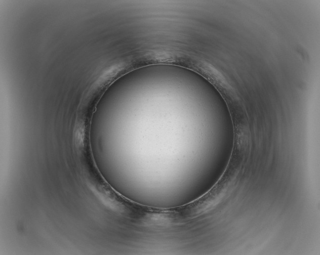 X0000110950072200906261329