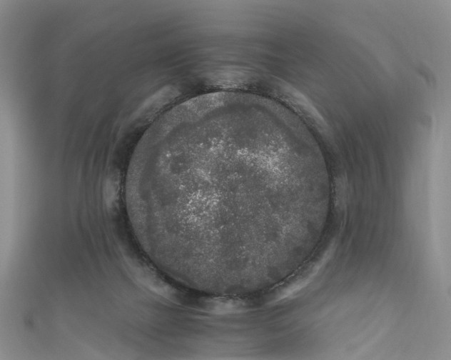 X0000110950073200906261329