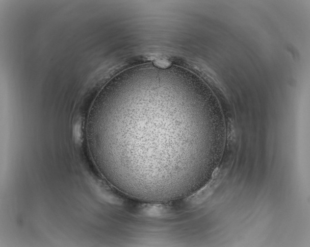 X0000110950074200906261329