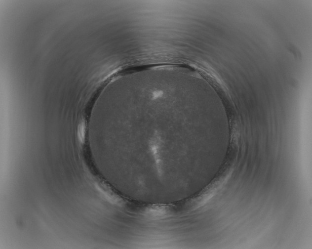 X0000110950076200906261329