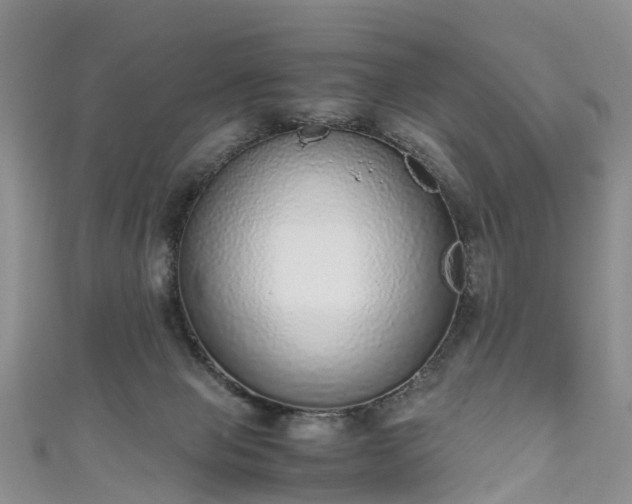 X0000110950077200906261329