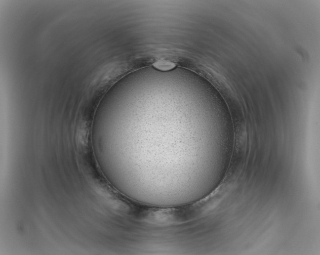 X0000110950078200906261329