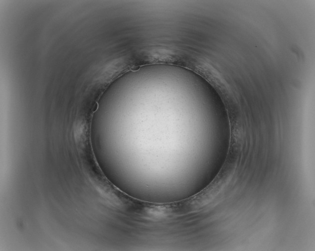 X0000110950079200906261329