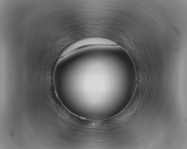 X0000110950080200906261329