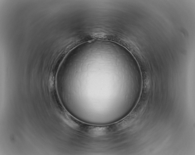 X0000110950081200906261329