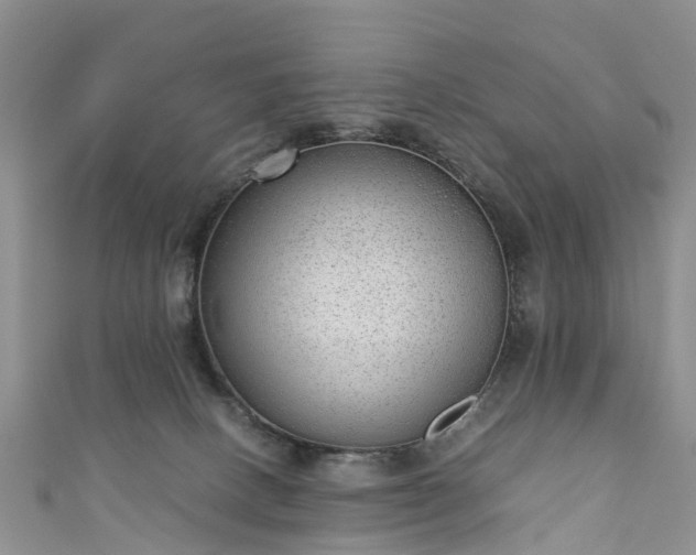 X0000110950082200906261329